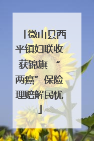 微山县西平镇妇联收获锦旗 “两癌”保险理赔解民忧