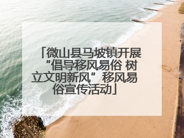 微山县马坡镇开展“倡导移风易俗 树立文明新风”移风易俗宣传活动