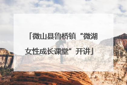 微山县鲁桥镇“微湖女性成长课堂”开讲
