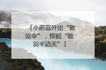 小蘑菇开出“致富伞”，撑起“致富半边天”