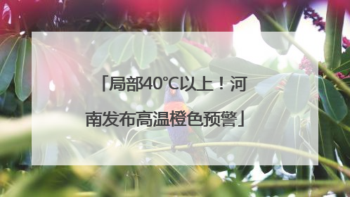 局部40℃以上！河南发布高温橙色预警