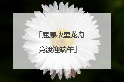 屈原故里龙舟竞渡迎端午