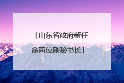 山东省政府新任命两位副秘书长