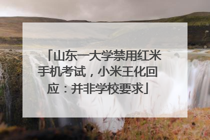 山东一大学禁用红米手机考试，小米王化回应：并非学校要求