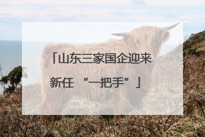 山东三家国企迎来新任 “一把手”