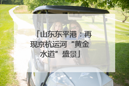 山东东平港：再现京杭运河“黄金水道”盛景