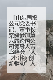 山东国投公司党委书记、董事长栾健参加第六届跨国公司领导人青岛峰会“人才引领 创新驱动”人力资源高质量发展对话会