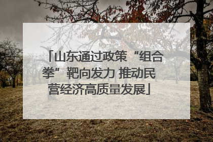 山东通过政策“组合拳”靶向发力 推动民营经济高质量发展
