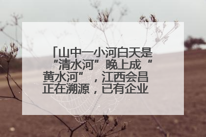山中一小河白天是“清水河”晚上成“黄水河”，江西会昌正在溯源，已有企业被要求停工