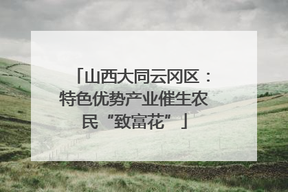 山西大同云冈区：特色优势产业催生农民“致富花”
