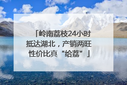 岭南荔枝24小时抵达湖北，产销两旺性价比真“给荔”