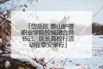 岱岳区 泰山护理职业学院校城融合暨书记、区长高校行活动在泰安举行