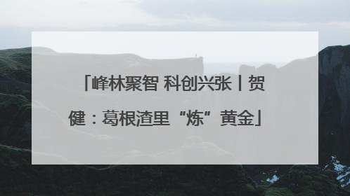 峰林聚智 科创兴张丨贺健：葛根渣里“炼”黄金