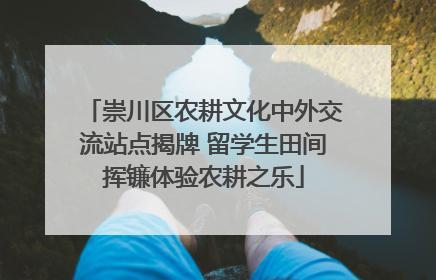 崇川区农耕文化中外交流站点揭牌 留学生田间挥镰体验农耕之乐
