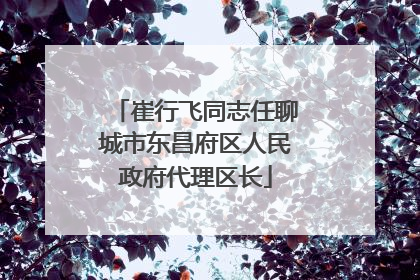 崔行飞同志任聊城市东昌府区人民政府代理区长