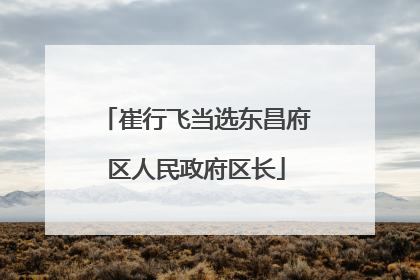 崔行飞当选东昌府区人民政府区长