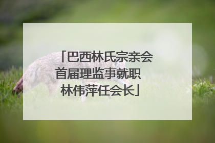 巴西林氏宗亲会首届理监事就职 林伟萍任会长