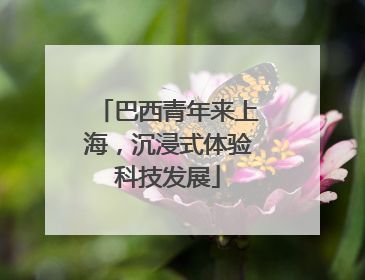 巴西青年来上海，沉浸式体验科技发展