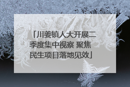 川姜镇人大开展二季度集中视察 聚焦民生项目落地见效