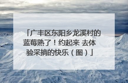 广丰区东阳乡龙溪村的蓝莓熟了！约起来 去体验采摘的快乐（图）