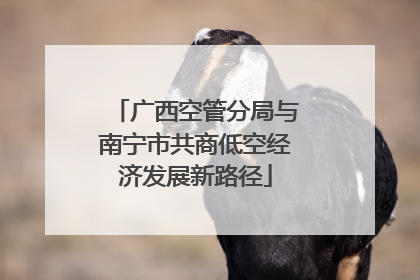 广西空管分局与南宁市共商低空经济发展新路径