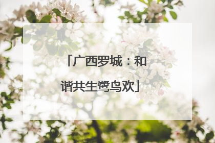 广西罗城：和谐共生鹭鸟欢