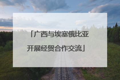 广西与埃塞俄比亚开展经贸合作交流
