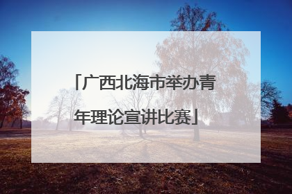 广西北海市举办青年理论宣讲比赛
