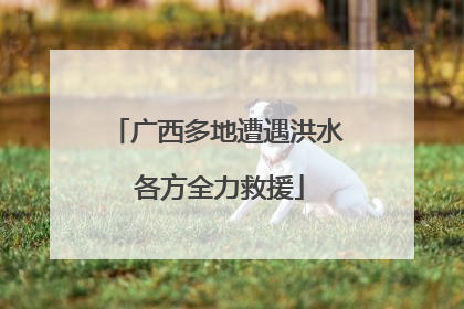 广西多地遭遇洪水 各方全力救援