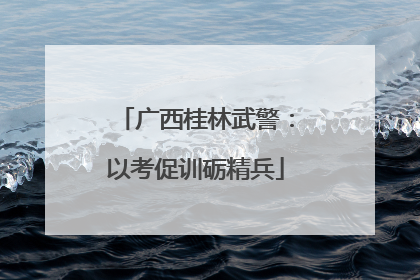 广西桂林武警：以考促训砺精兵