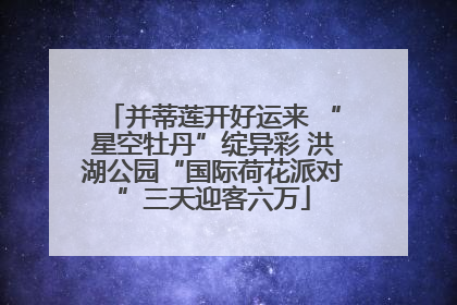 并蒂莲开好运来 “星空牡丹”绽异彩 洪湖公园“国际荷花派对”三天迎客六万