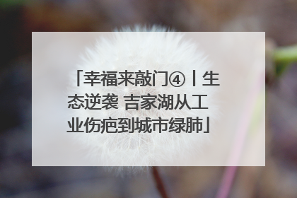 幸福来敲门④丨生态逆袭 吉家湖从工业伤疤到城市绿肺