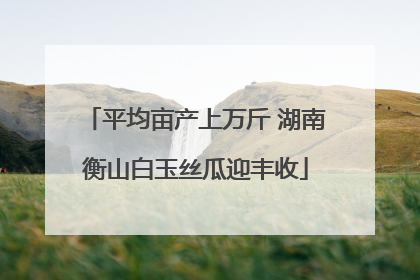 平均亩产上万斤 湖南衡山白玉丝瓜迎丰收