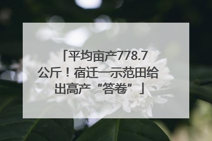 平均亩产778.7公斤！宿迁一示范田给出高产“答卷”