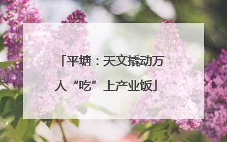 平塘：天文撬动万人“吃”上产业饭