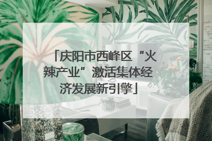 庆阳市西峰区“火辣产业”激活集体经济发展新引擎