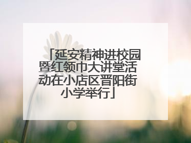 延安精神进校园暨红领巾大讲堂活动在小店区晋阳街小学举行