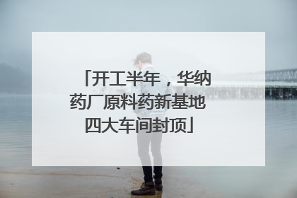 开工半年，华纳药厂原料药新基地四大车间封顶