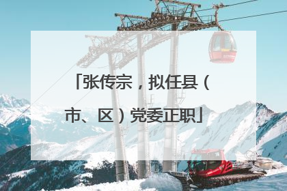 张传宗，拟任县（市、区）党委正职