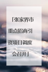 张家界市重点招商引资项目调度会召开