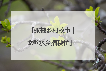 张掖乡村故事｜戈壁水乡插秧忙