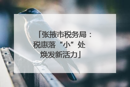 张掖市税务局：税惠落“小”处 焕发新活力