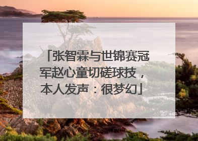 张智霖与世锦赛冠军赵心童切磋球技，本人发声：很梦幻