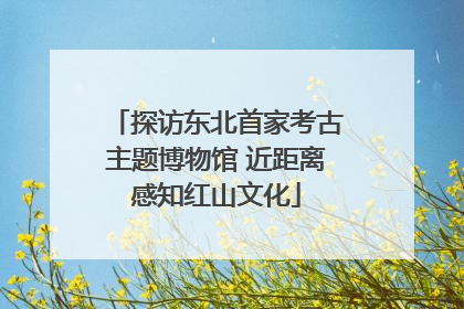 探访东北首家考古主题博物馆 近距离感知红山文化