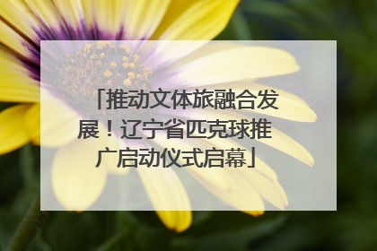 推动文体旅融合发展！辽宁省匹克球推广启动仪式启幕