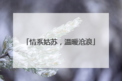 情系姑苏，温暖沧浪
