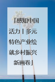 感知中国活力丨多元特色产业绘就乡村振兴新画卷