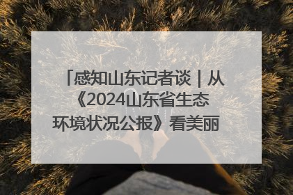 感知山东记者谈｜从《2024山东省生态环境状况公报》看美丽山东建设的“成绩单”与“任务书”