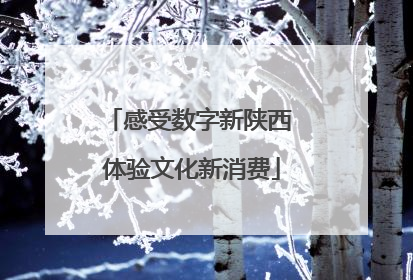 感受数字新陕西 体验文化新消费
