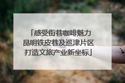感受街巷咖啡魅力 昆明铁皮巷及巡津片区打造文旅产业新坐标